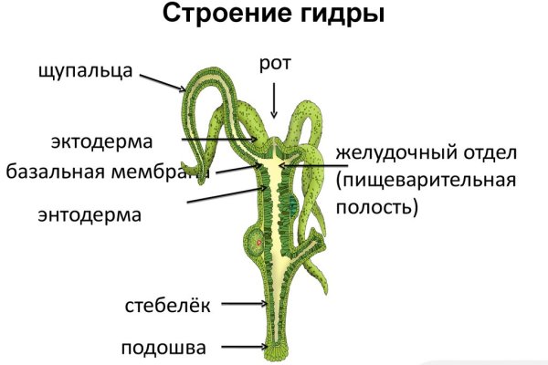 Рабочая ссылка на кракен