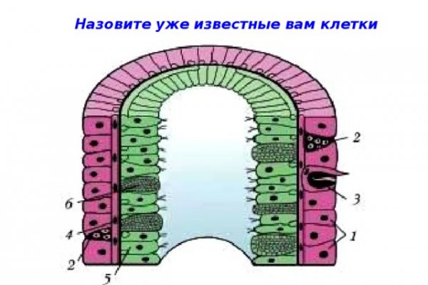 Тор кракен vk2 top