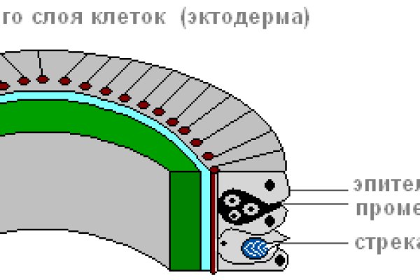 Кракен актуальная ссылка тор