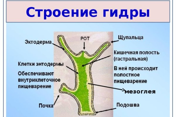 Вход на кракен зеркало