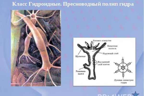 Как купить через кракен