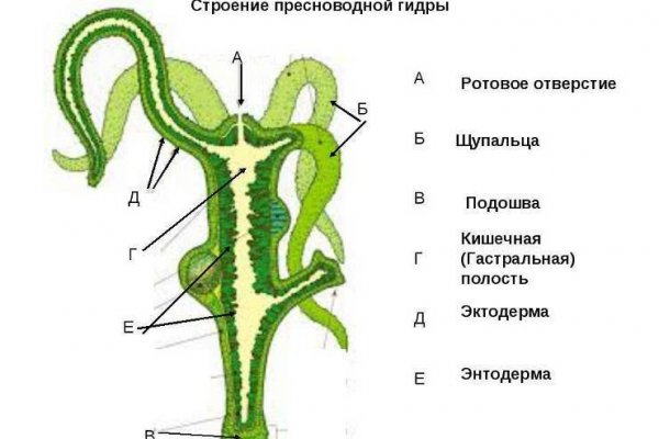 Как зарегистрироваться на кракене